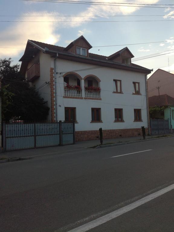 Helga House Hostel Turda Bagian luar foto